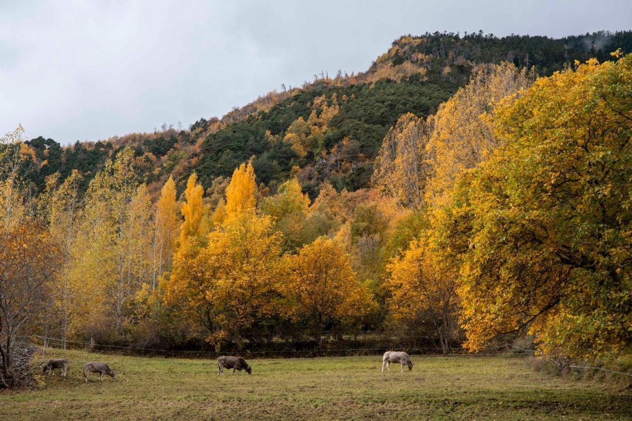Casa Rural Besoli Areu Luaran gambar